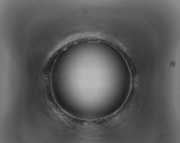 X0000089931496200707061029