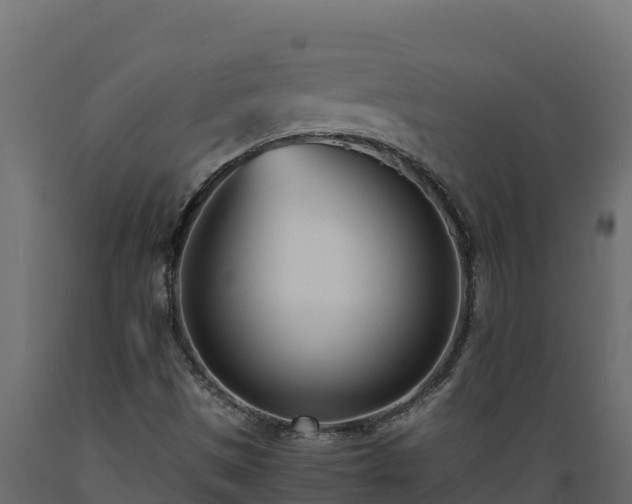 X0000089931497200707061029