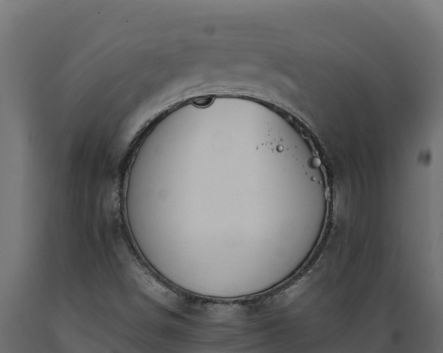 X0000089931498200707061029