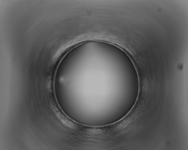 X0000089931499200707061029