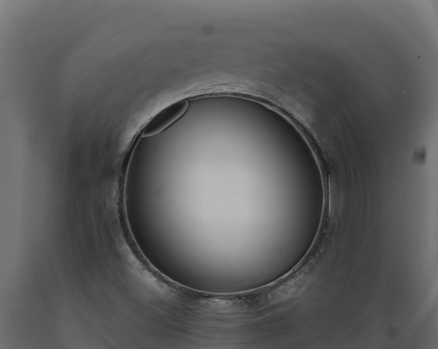 X0000089931500200707061029