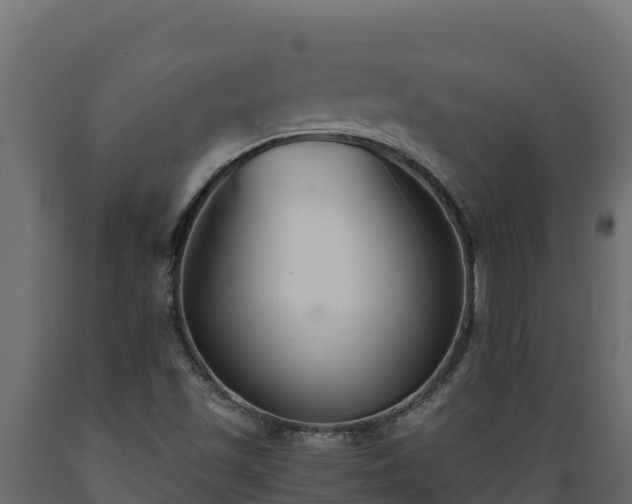 X0000089931501200707061029