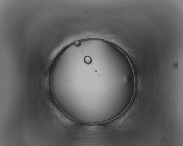 X0000089931502200707061029