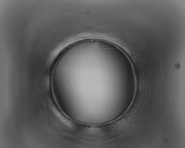 X0000089931503200707061029