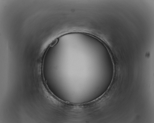 X0000089931504200707061029