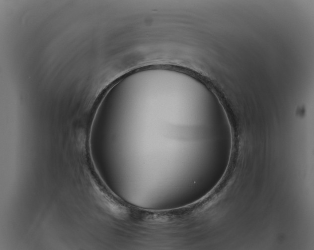 X0000089931505200707061029