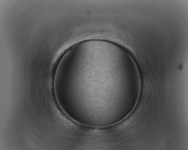 X0000089931506200707061029