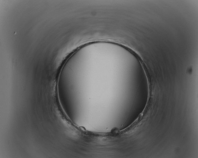 X0000089931507200707061029