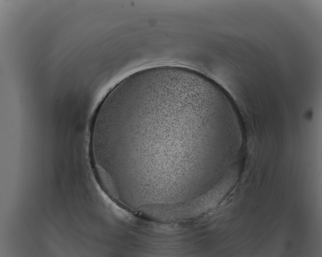 X0000089931508200707061029