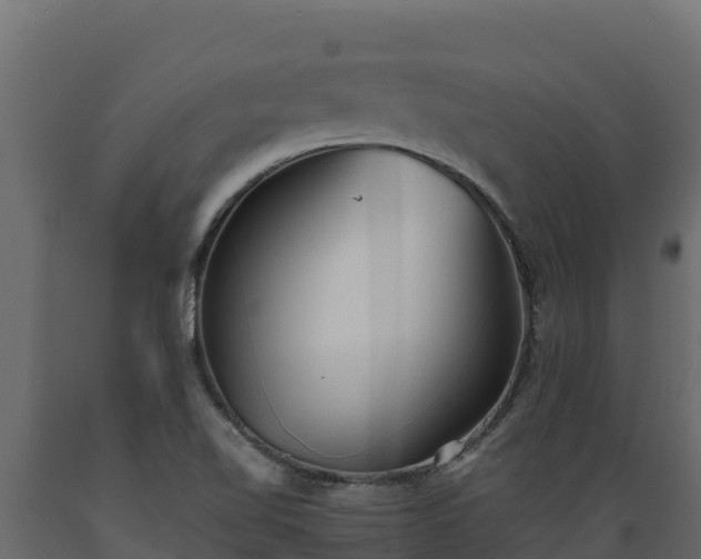 X0000089931510200707061029