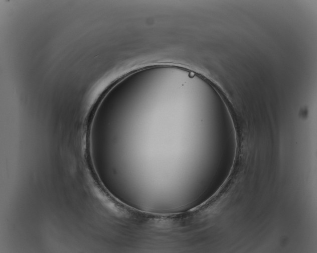 X0000089931511200707061029