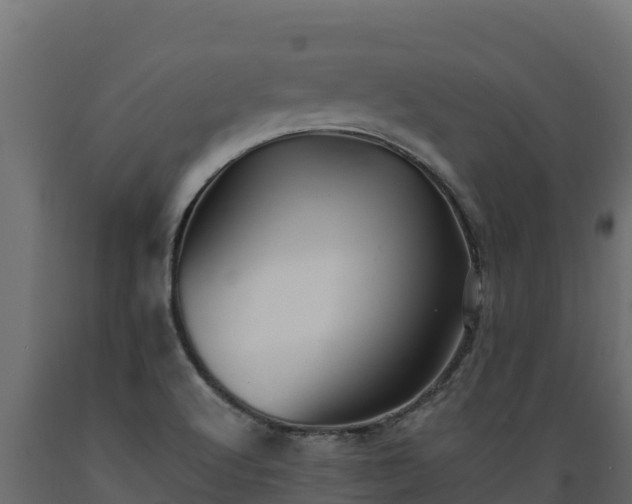 X0000089931512200707061029