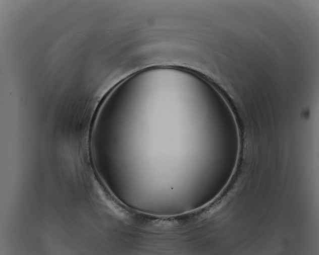 X0000089931513200707061029