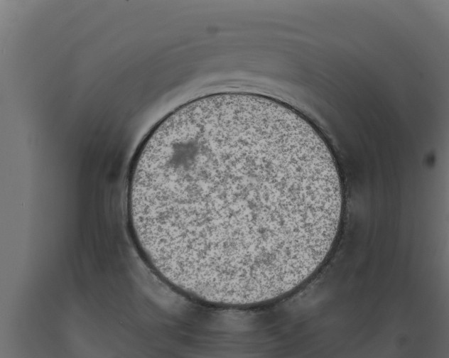 X0000089931514200707061029