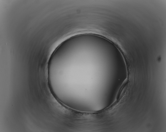 X0000089931516200707061029