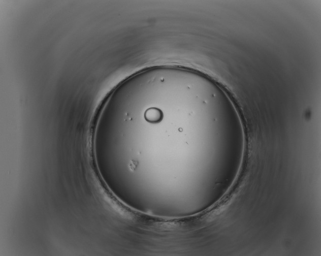 X0000089931517200707061029