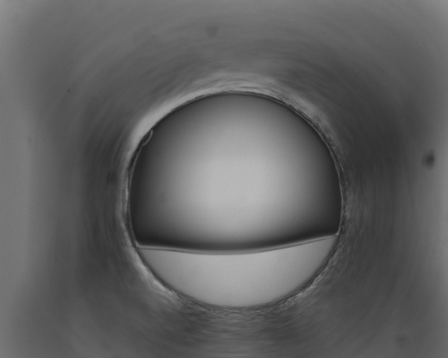 X0000089931520200707061029