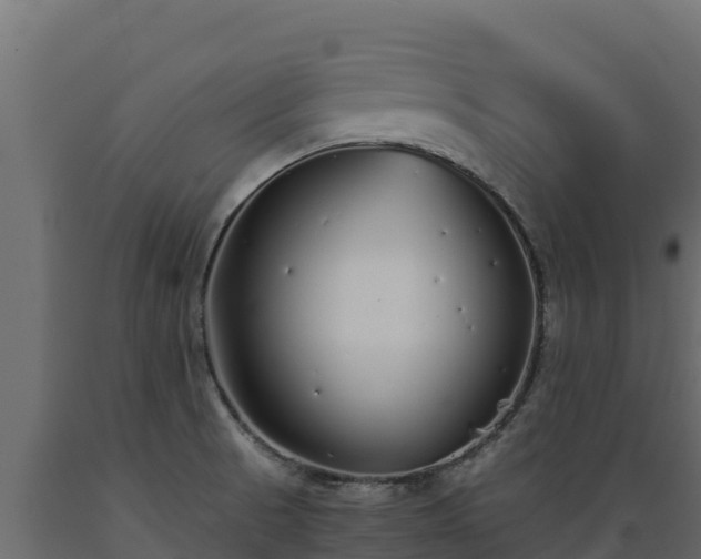 X0000089931521200707061029