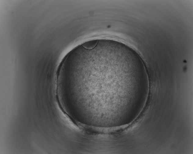 X0000089931522200707061029