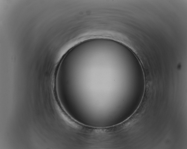 X0000089931523200707061029