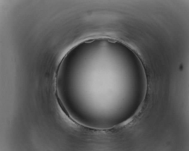 X0000089931524200707061029