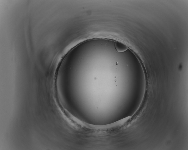 X0000089931525200707061029