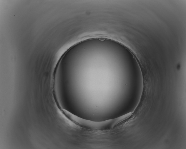 X0000089931527200707061029