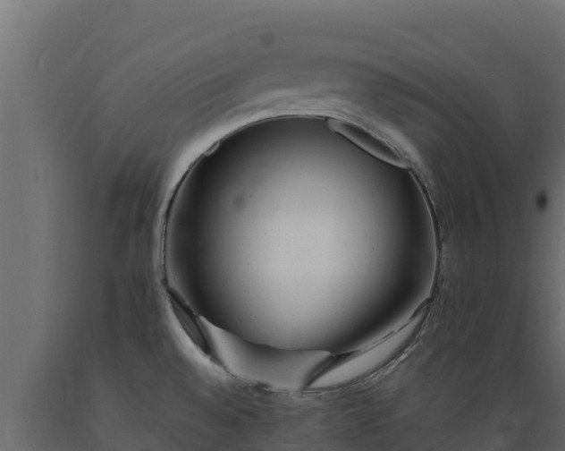 X0000089931528200707061029