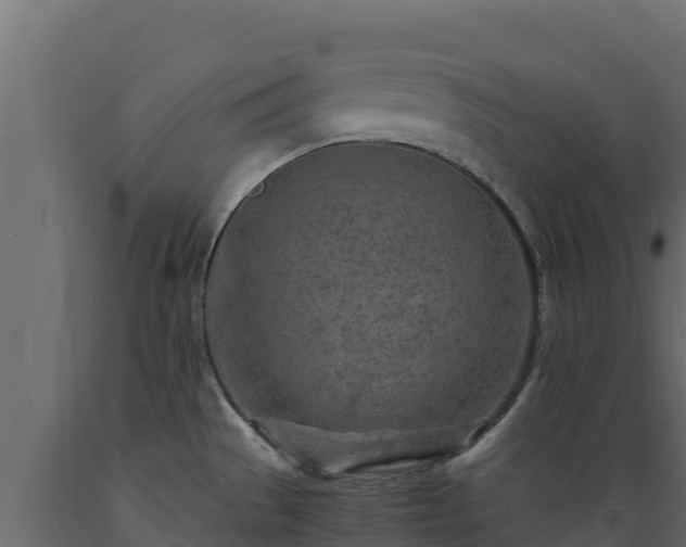 X0000089931529200707061029