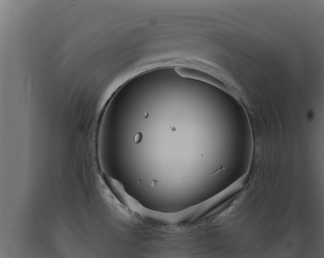 X0000089931530200707061029