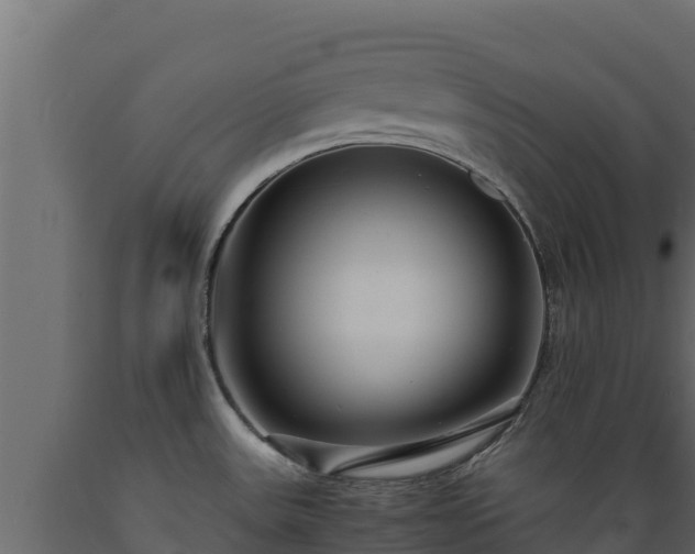 X0000089931531200707061029