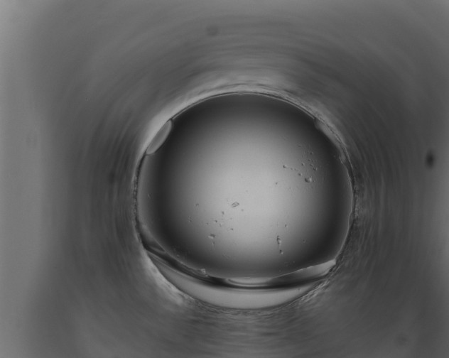 X0000089931532200707061029