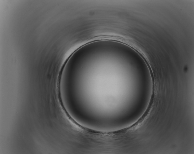 X0000089931533200707061029