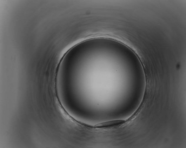 X0000089931534200707061029