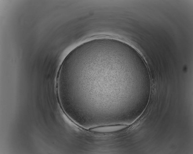 X0000089931535200707061029