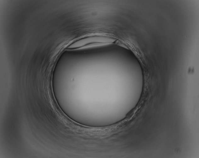 X0000089930001200707131442