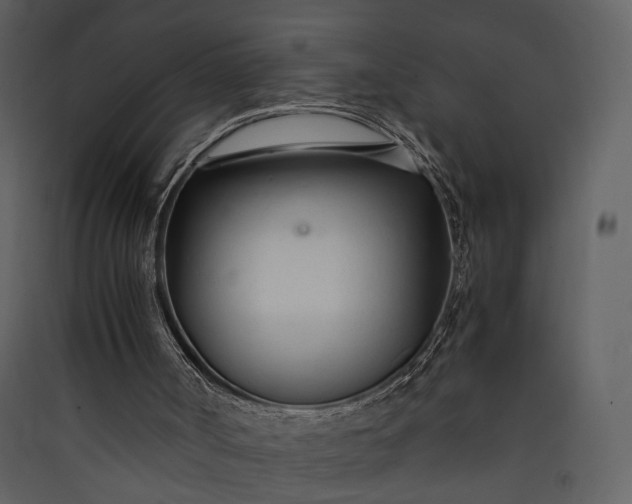 X0000089930002200707131442