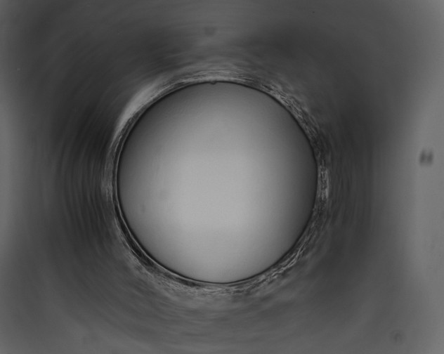 X0000089930004200707131442