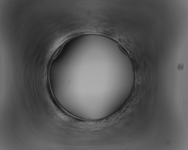 X0000089930005200707131442