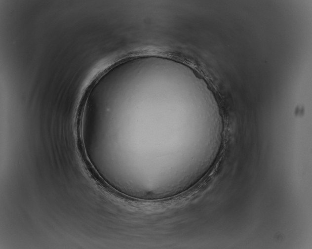 X0000089930006200707131442