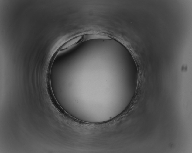 X0000089930007200707131442