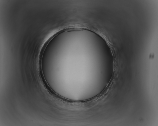 X0000089930008200707131442