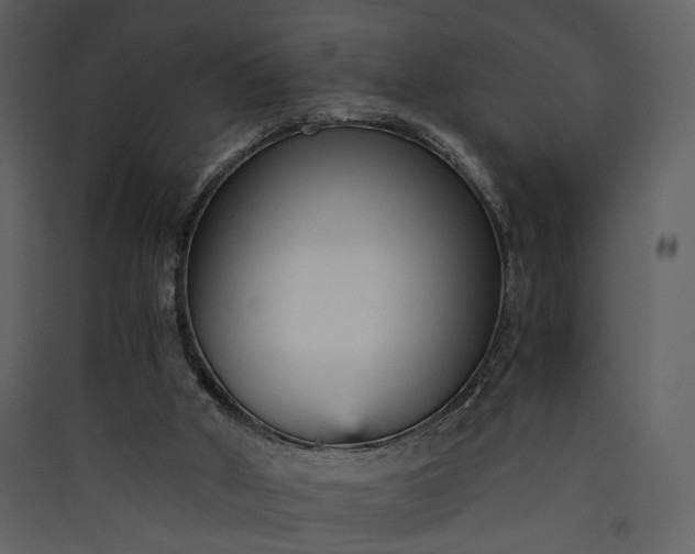 X0000089930010200707131442