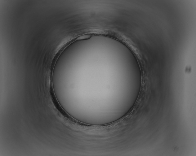 X0000089930011200707131442