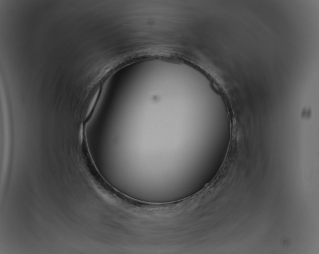 X0000089930013200707131442