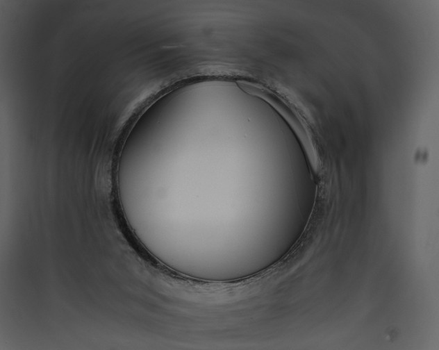 X0000089930015200707131442