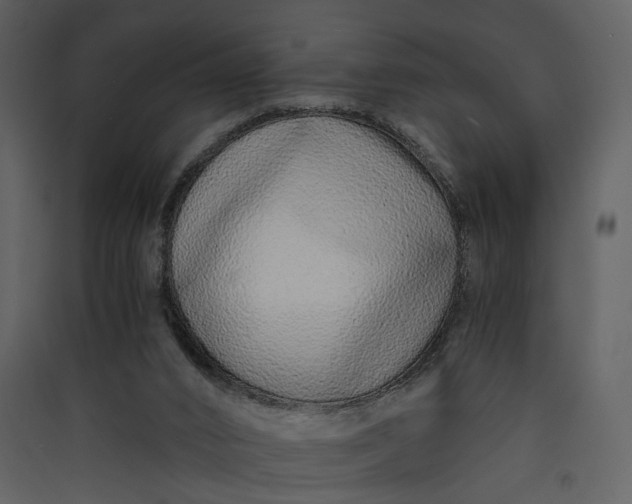 X0000089930016200707131442