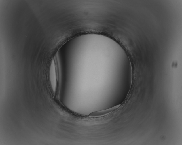 X0000089930017200707131442