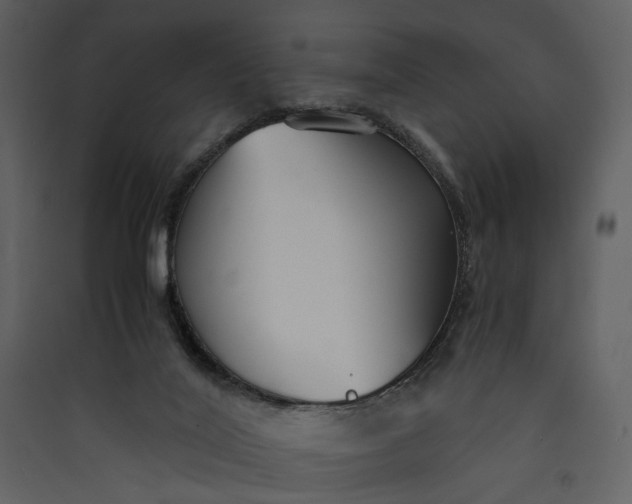 X0000089930020200707131442