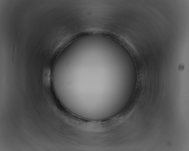 X0000089930024200707131442